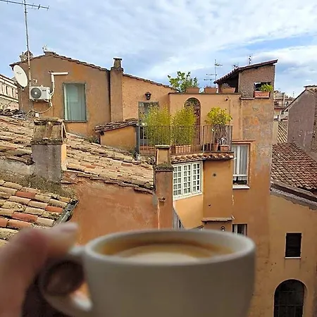 Guest house Minerva Monks 4*